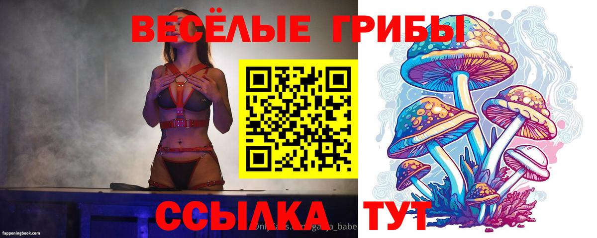 Псилоцибиновые грибы Psilocybe  Вход с VPN  Алексеевка  Псилоцибиновые грибы ЛСД 